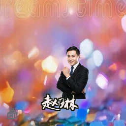 赵琳